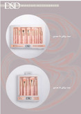 ست براش 5 عددی صورت و چشم DSD DSD 5-piece face and eye brus
